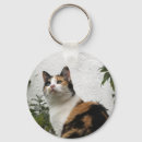 Search for tortoiseshell key rings Cat