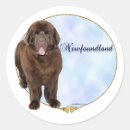 Search for newfie stickers Landseer