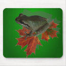 Search for frog design electronics Animals