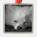 Search for poms christmas tree decorations Pets