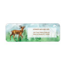 Search for whitetail return address labels Nature