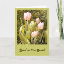 Search for feel it cards Tulips