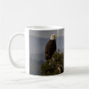 Search for bald mugs Symbol