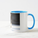 Search for cat in a window mugs Siamese