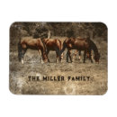 Search for horse magnets Equine