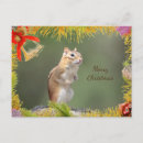 Search for chipmunk christmas cards Nature