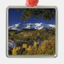 Search for aspen colorado christmas tree decorations Nature