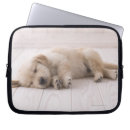 Search for down electronics Animal