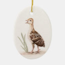 Search for bird christmas tree decorations Hunter