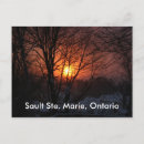 Search for sault postcards Marie
