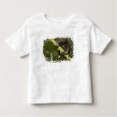 Search for frog toddler tshirts Wildlife