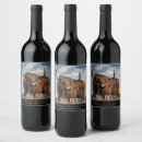 Search for big horn Cow