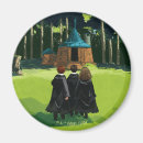 Search for harry potter magnets Harry ron hermione