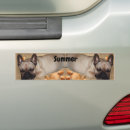 Search for tshirt bumper stickers Dog