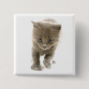 Search for kitten badges Sweet