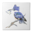 Search for kingfisher tiles Wildlife