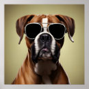 Search for boxer dog art Cute