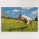 Search for hart puzzles Cascade mountains