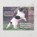 Search for basset dog postcards Pets