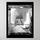 Search for reptile posters Nature