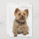 Search for dog breed invitations Cute