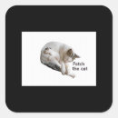 Search for soft kitty stickers Kittens