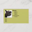 Search for silly business cards Funny