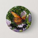 Search for monarchs badges Butterflies