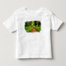 Search for forest path clothing Tree