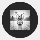 Search for funny selfie stickers Holiday discount codes