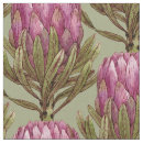 Search for protea fabric Pink