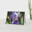 Search for iris greeting Garden