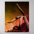 Search for saguaro art Arizona