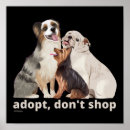 Search for dog rescue posters Animal shelter