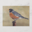 Search for robin painting postcards Wildlife