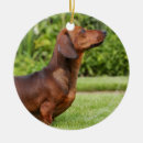 Search for miniature dachshund christmas tree decorations Zwergteckel