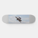 Search for bird skateboards Fantasy