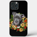 Search for pitbulls iphone cases Pitbull lover