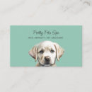 Search for dog grooming salon Modern