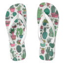Search for succulent plant thongs Cacti