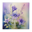Search for campanula Flowers