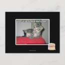 Search for farts postcards I can has cheezburger