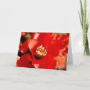 Search for pomegranate cards Flower