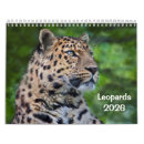 Search for leopard calendars Cat
