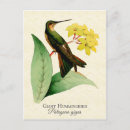 Search for giant flower postcards Nature