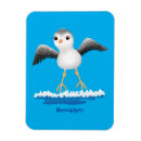 Search for seaside magnets Cute