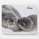 Search for seals electronics Alaska