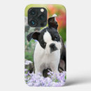 Search for terrier iphone cases Puppy