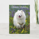 Search for eskimoes cards Puppy