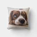 Search for dog face cushions Puppy